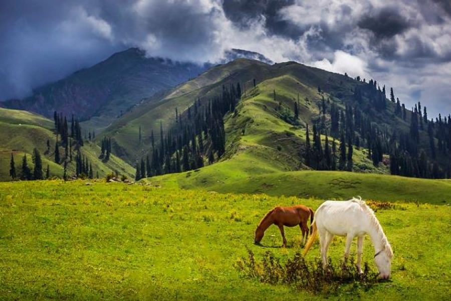 02 Day Tour To Shogran & Siri Paye