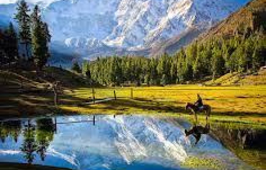05 Days Tour To Fairy Meadows