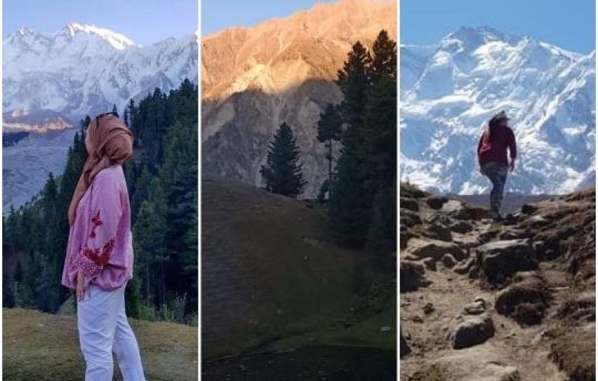 05 Days Tour To Fairy Meadows