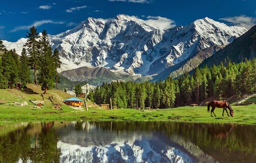 05 Days Tour To Fairy Meadows