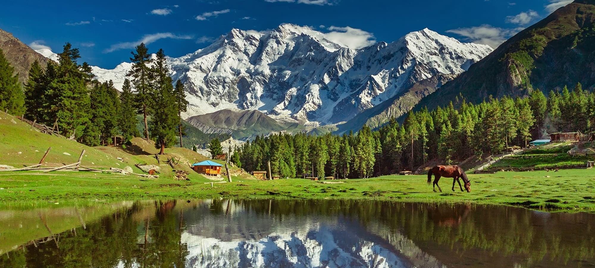 Fairy Meadows