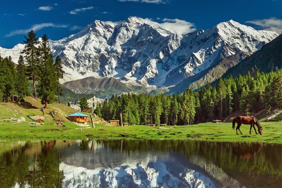 05 Days Tour To Fairy Meadows