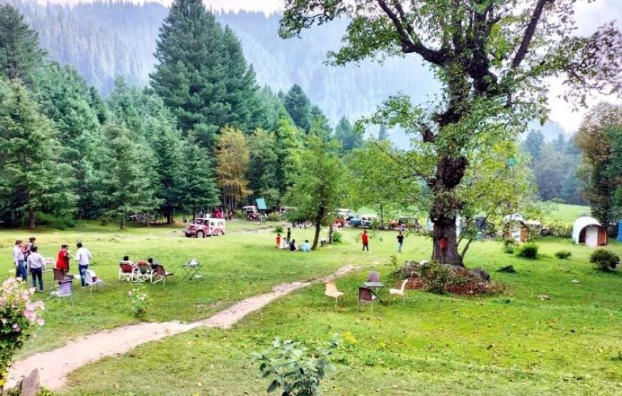 02 Days Tour To Sharan Forest