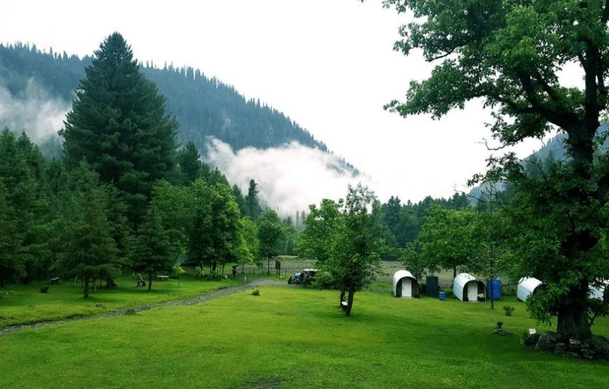 02 Days Tour To Sharan Forest