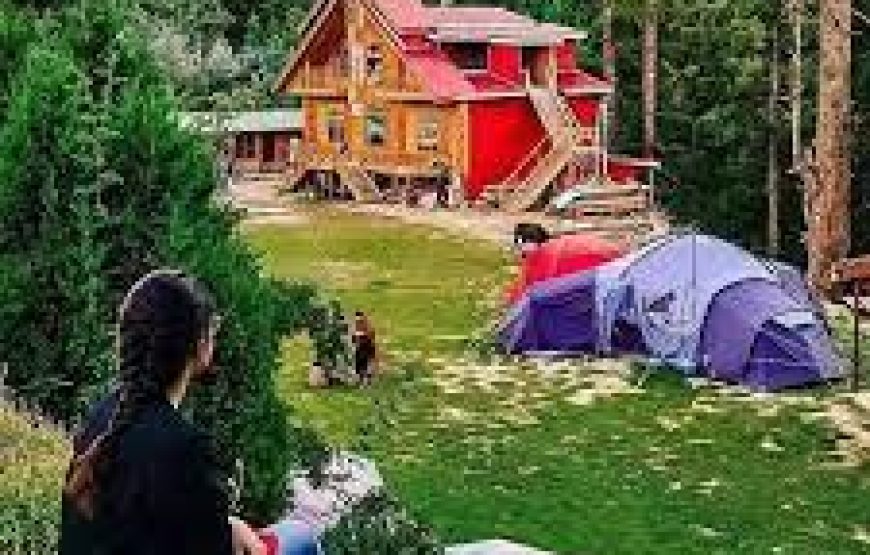 05 Days Tour To Fairy Meadows