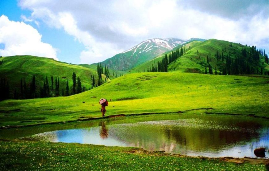 02 Days Tour To Sharan Forest