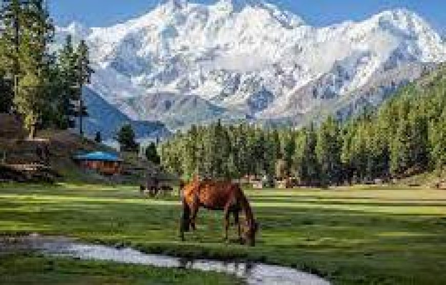 05 Days Tour To Fairy Meadows