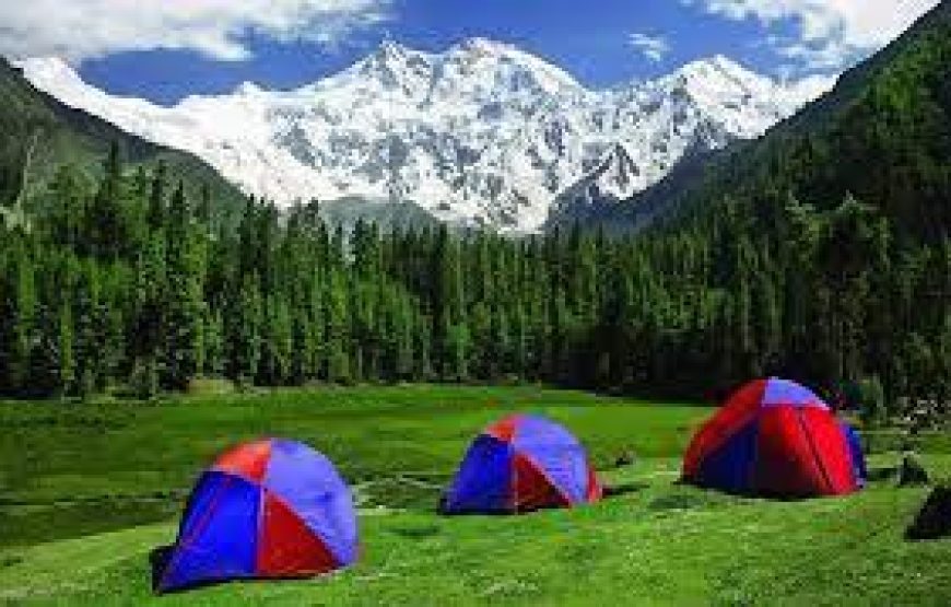 05 Days Tour To Fairy Meadows