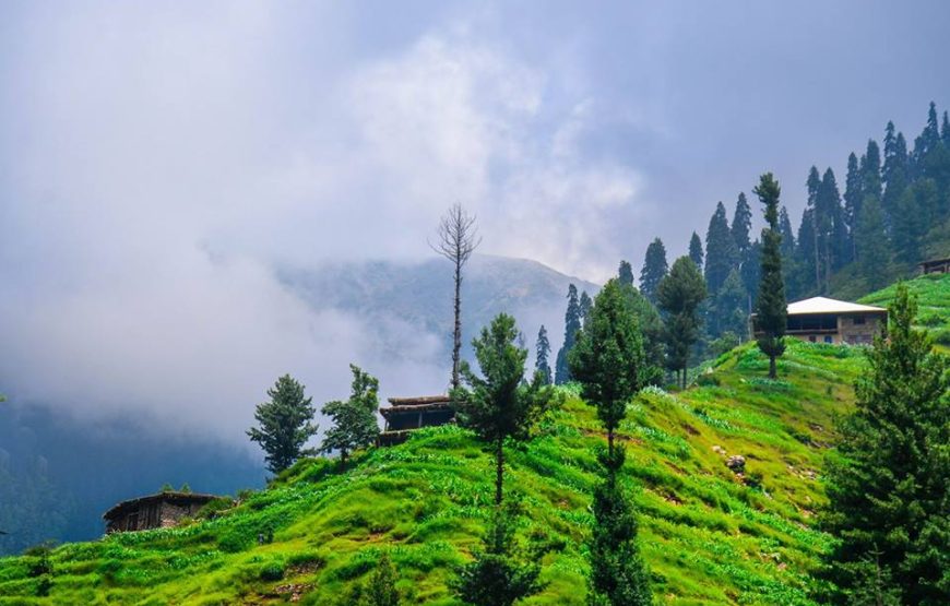 Two Days & One Night Tour To Swat & Malam Jabba